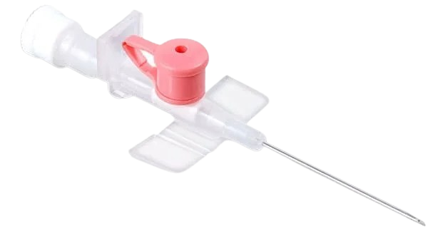 Cannula (Peripheral Venous Catheter)